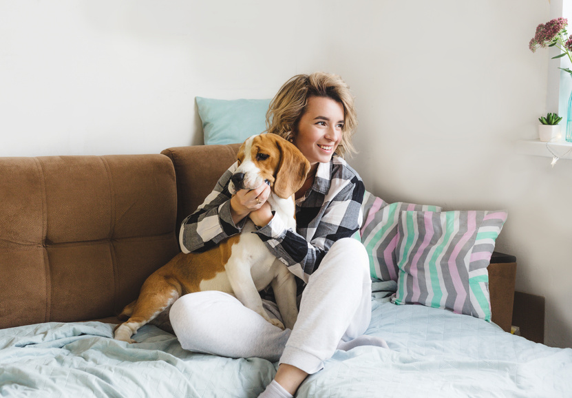 Girl Pets Her Dog at Home on the Couch